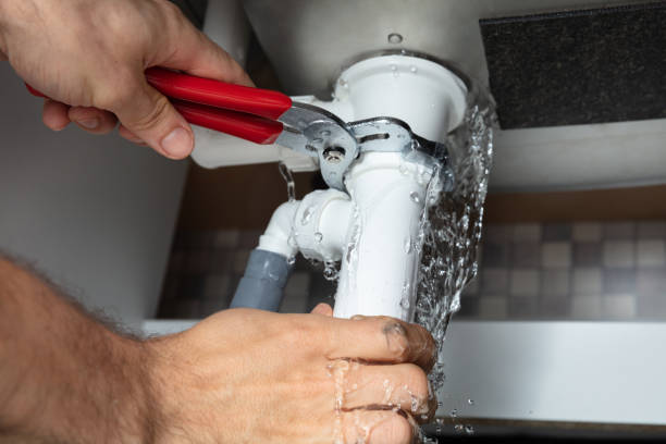 Best Professional water damage repair  in Cahokia, IL