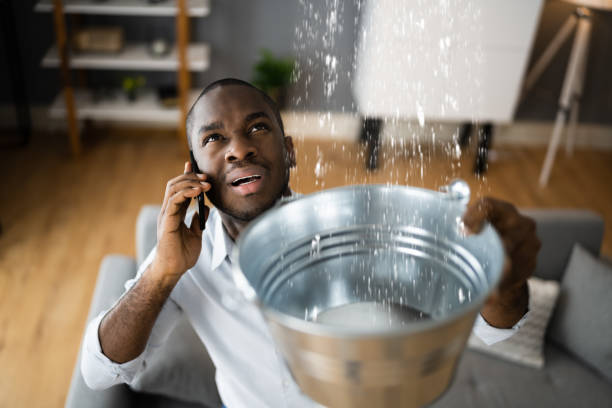 Best Water damage restoration near me  in Cahokia, IL