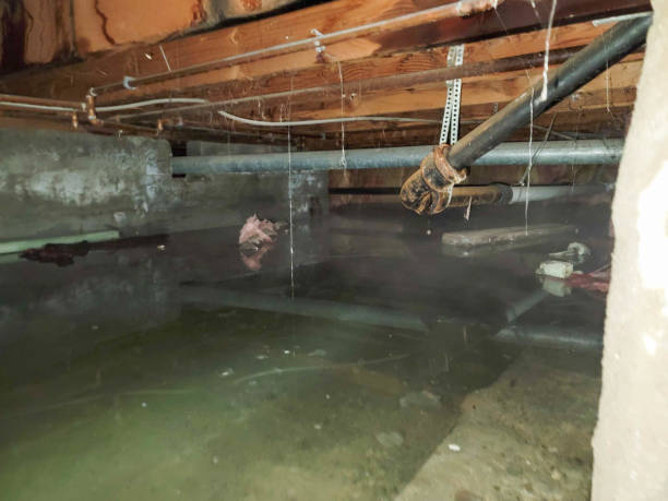 Best Residential water damage restoration  in Cahokia, IL