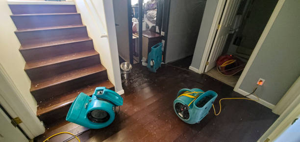 Best Local water damage restoration  in Cahokia, IL