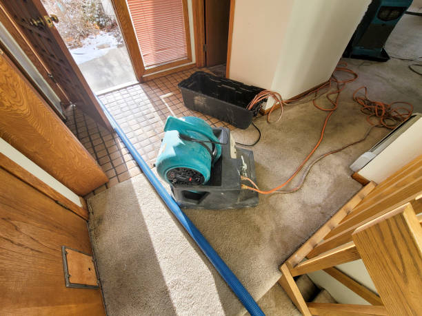 Best Fire Damage Restoration  in Cahokia, IL