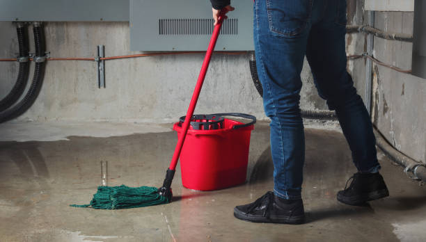 Best Flood damage cleanup  in Cahokia, IL