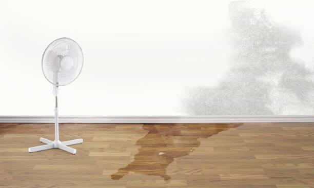 Best Water damage restoration near me  in Cahokia, IL