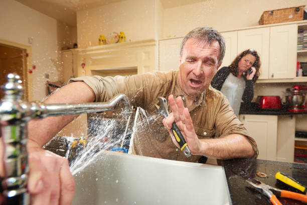 Best Carpet water damage restoration  in Cahokia, IL